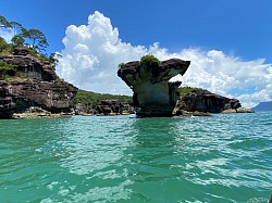 Bako