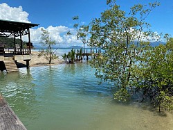 Bako